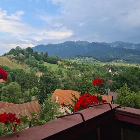 Vila Muntii Bucegi & Spa Бран Экстерьер фото