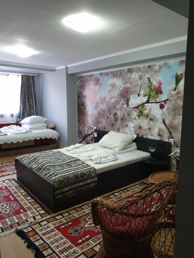 Vila Muntii Bucegi & Spa Бран Экстерьер фото
