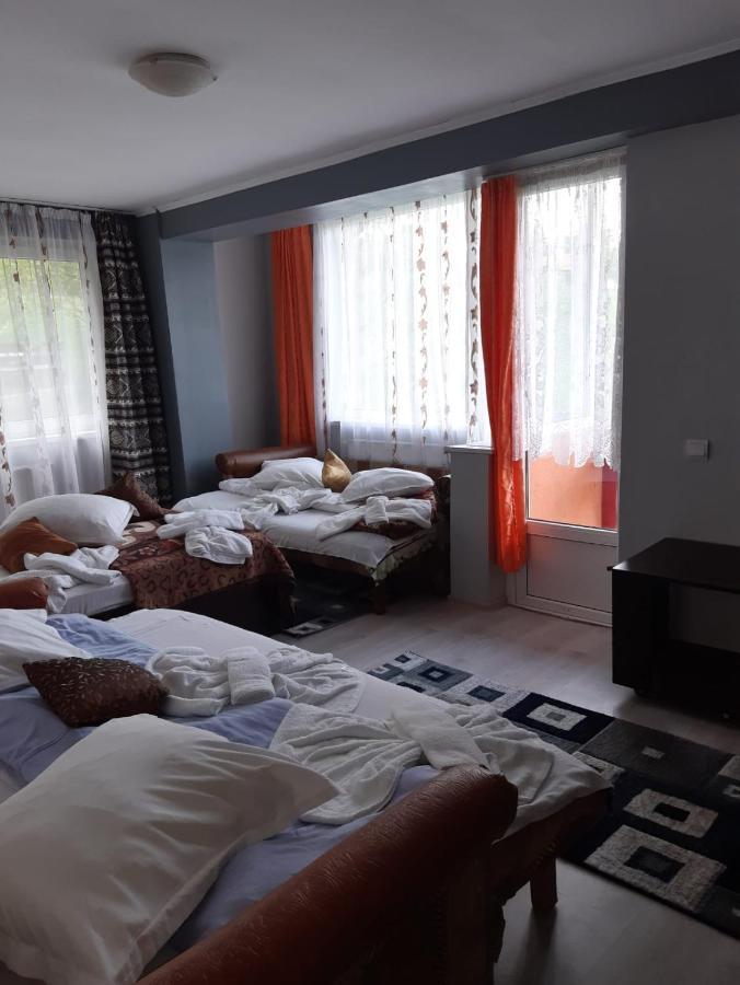 Vila Muntii Bucegi & Spa Бран Экстерьер фото