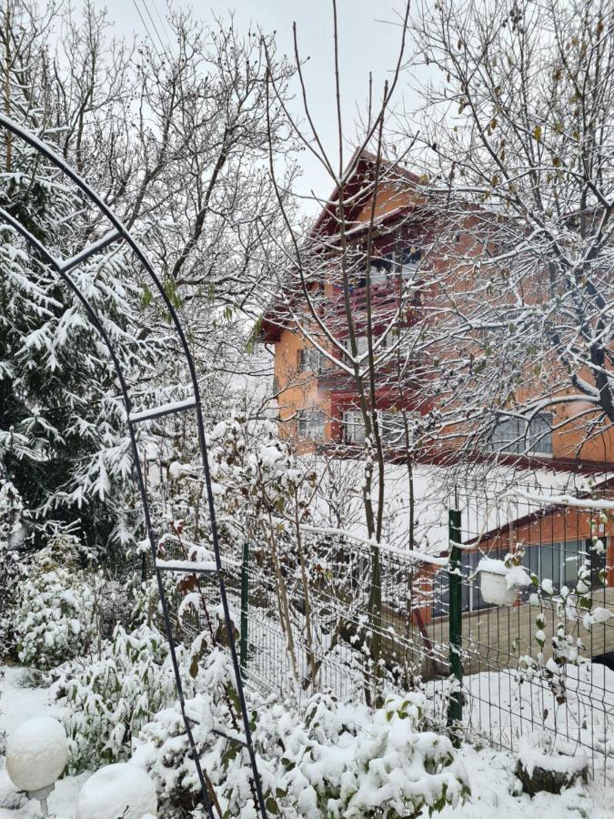 Vila Muntii Bucegi & Spa Бран Экстерьер фото