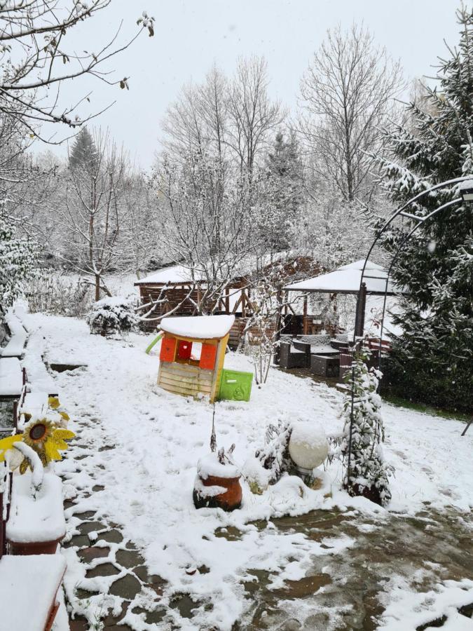 Vila Muntii Bucegi & Spa Бран Экстерьер фото