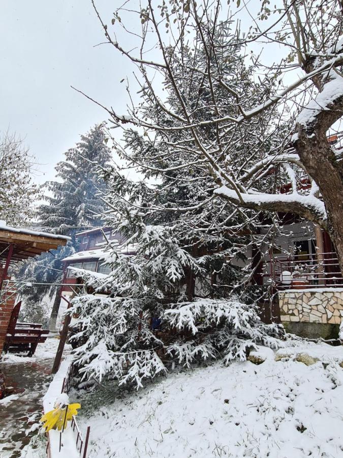 Vila Muntii Bucegi & Spa Бран Экстерьер фото