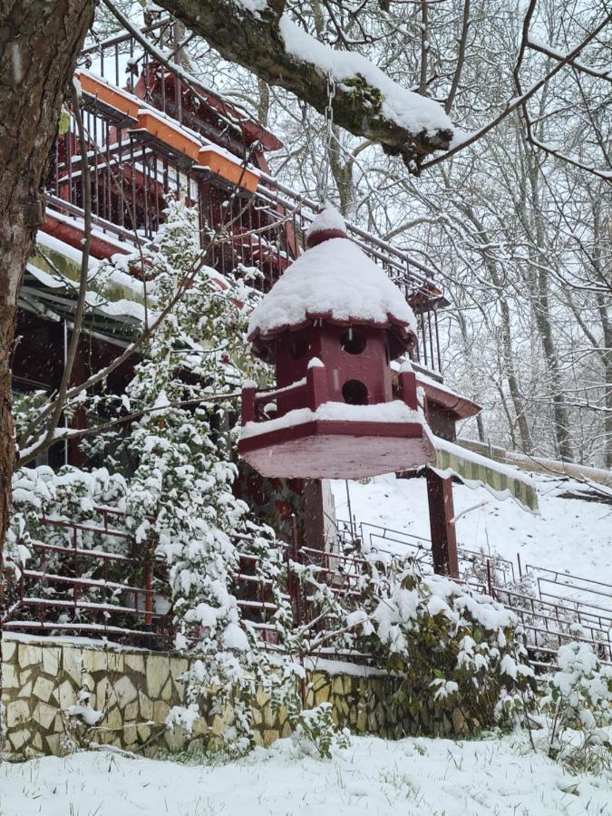 Vila Muntii Bucegi & Spa Бран Экстерьер фото