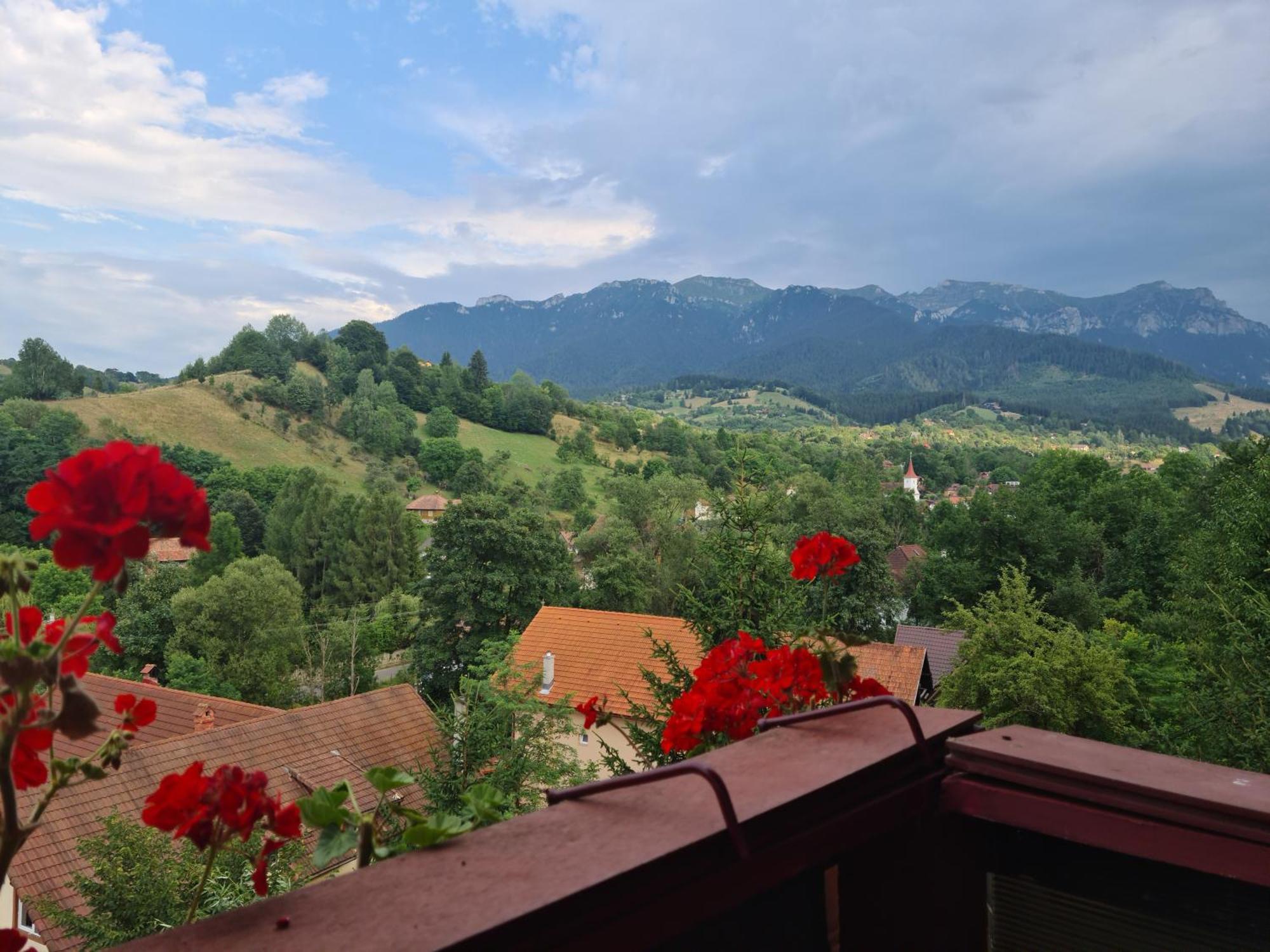 Vila Muntii Bucegi & Spa Бран Экстерьер фото