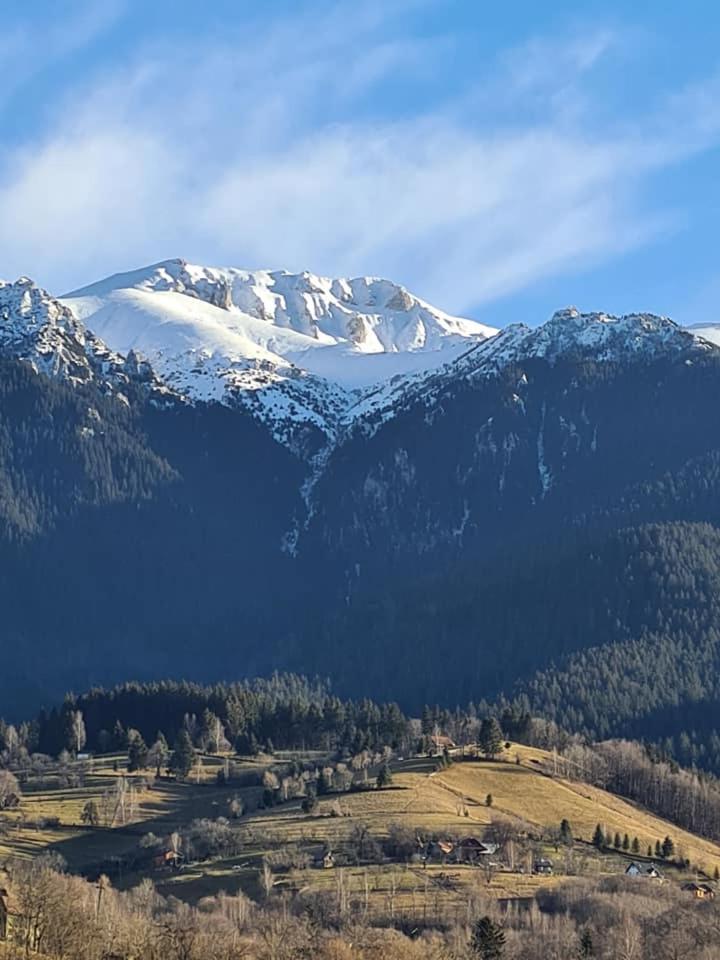 Vila Muntii Bucegi & Spa Бран Экстерьер фото